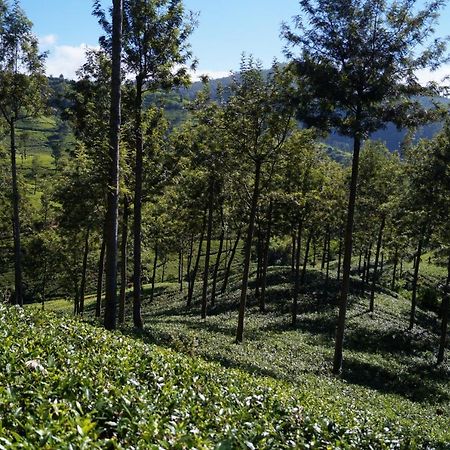 Oyo 238 Selva'S Guest House Nuwara Eliya Ngoại thất bức ảnh