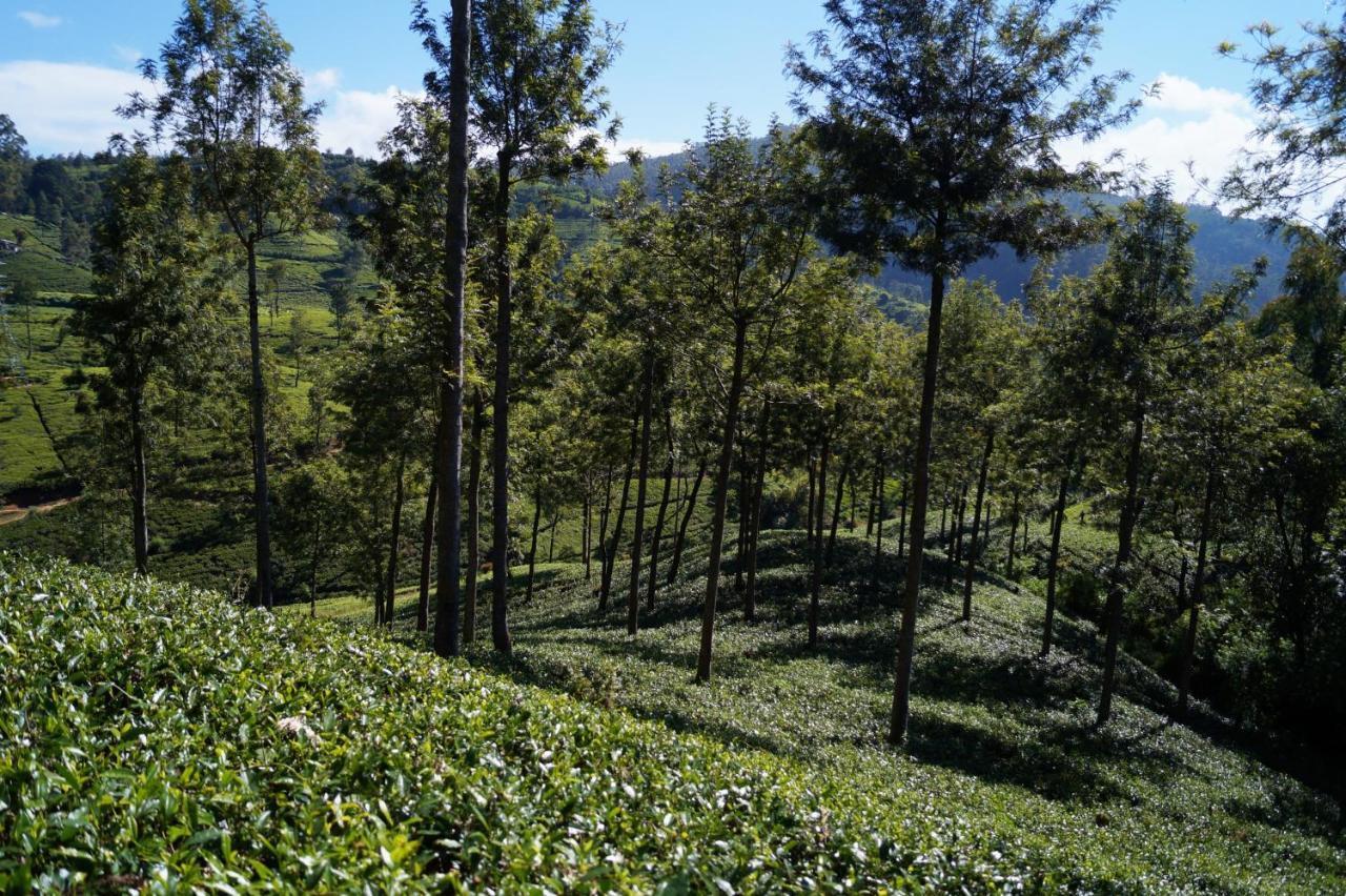 Oyo 238 Selva'S Guest House Nuwara Eliya Ngoại thất bức ảnh